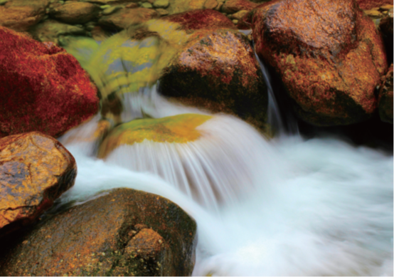 й(304am-VIP֤)-Official Platform