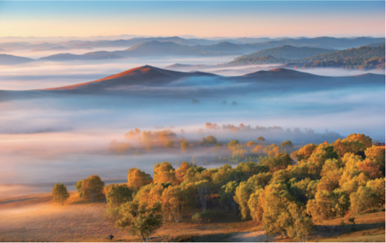 й(304am-VIP֤)-Official Platform